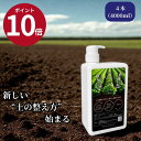 【ポイント10倍 限定クーポン】『4本 セット』 プロトンアグリ ガーデニング 土壌改良剤 プロトン プロトン水 水 4L 送料無料 希釈 連作障害 液肥 経費...