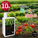 【ポイント10倍 限定クーポン】『6本 セット』 プロトンアグリ 6L 根張り 夏野菜 家庭菜園 有機栽培 ガーデニング 元肥 追肥 微生物 活性 化成肥料併用...