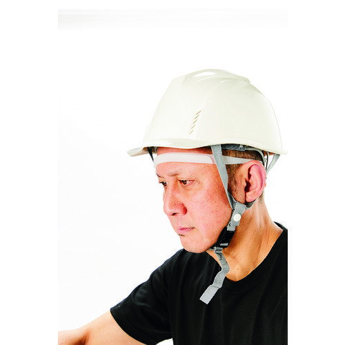 TRUSCO �������åȥ����� �ʥ����롡SWTGNR