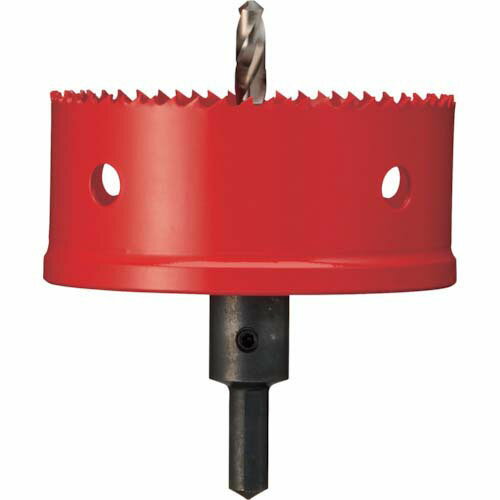 Panasonic �Х��᥿��ۡ��륽��100 EZ9DX100