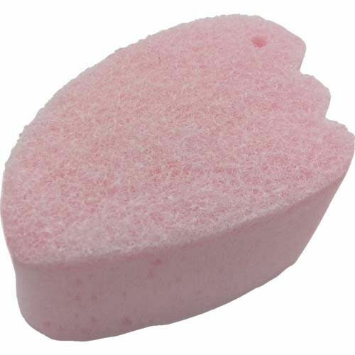 �������� �ե����� ���֥�ܥǥ����ݥ� 201051