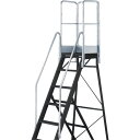 TRUSCO 踏み台TDAD用フルセット手すり 高さ1100mm 本体高さ2.10m用 TDAD-TF-210-110