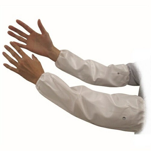 �ȥ���� ���쥿���ӥ��С� �ۥ磻�ȡ�031