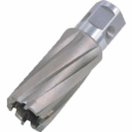 日東ジェットブローチワンタッチタイプ17X25L16317NO.16317