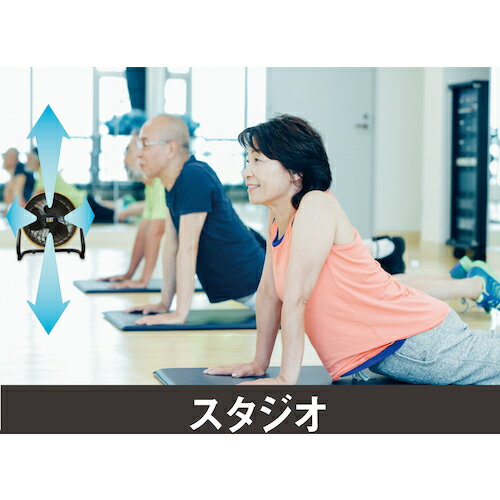 �ॵ�� CAT��������졼���� 45cm(�ɡ���������)��HVD18AC