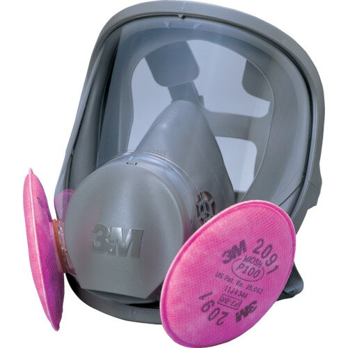 Gas Masks - 3M 取替式防じんマスク 6000F／2091-RL3 Lサイズ 6000F／2091-RL3L