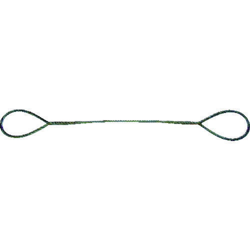 TRUSCO 玉掛けワイヤーロープ 段落し 6mmX1m TWD6S1