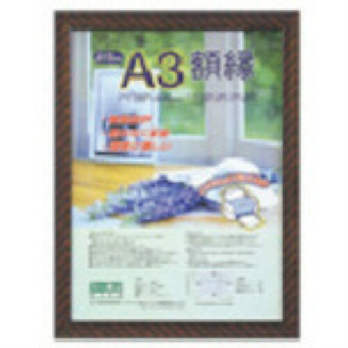ナカバヤシ樹脂製軽量額縁／＜キンラック＞／A3KWP-20...