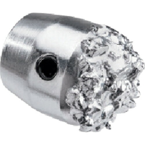 RIDGID フレックスシャフト(K9-306)専用推進チップ 71858