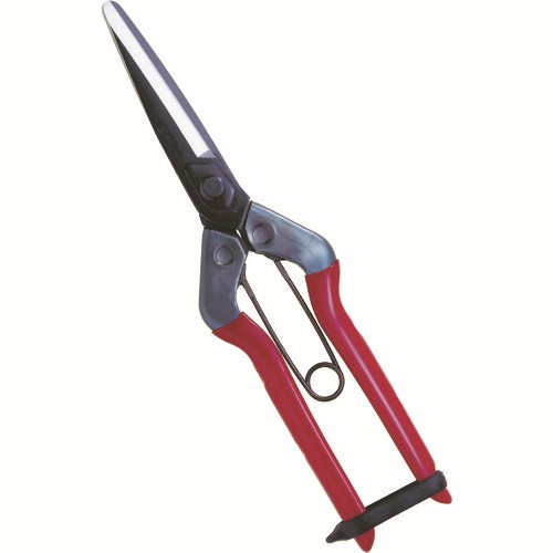 チカマサ青果鋏T-700