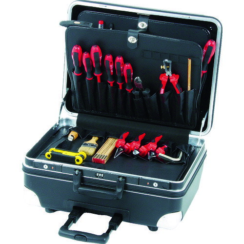 H��B (��������)�ġ��륱���� ROBUST �����ָ�*����*�⤵510*290*435 0057758019