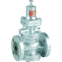 ヨシタケ 蒸気用減圧弁 25A GP100025A