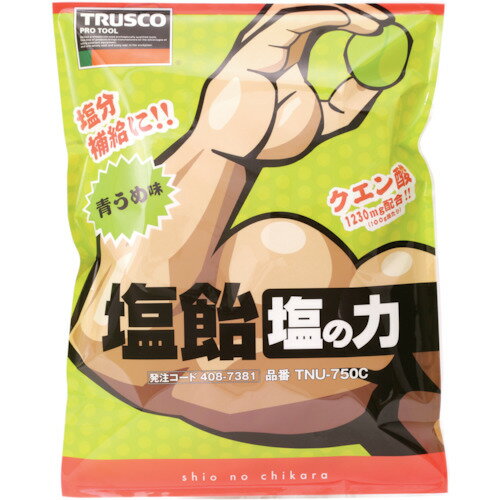 TRUSCO (※軽税)塩飴 塩の力 750g 青梅味 詰替袋 (1袋入) TNU750C