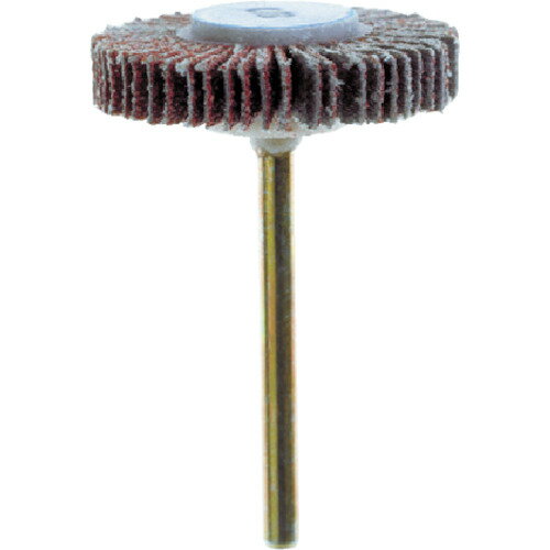 �ɥ��� �ե�åץۥ����� 504