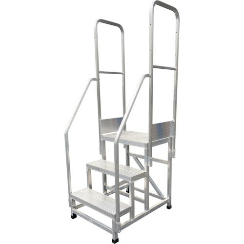 TRUSCO 両側手すり WTDB2-5660、WTDBC2-5660、WTDB2-6660、WTDBC2-6660用 WTDB2-RT60