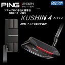 PING KUSHIN4 s NbV4 p^[ 2021Nf