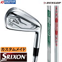 DUNLOP SRIXON ZX5 Mk II IRON N.S.PRO DST CUSTOM / XN\ ZX5 Mk2 ACA Pi N.S.PRO DST X`[ JX^ 󒍐Y