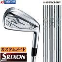 DUNLOP SRIXON ZX5 Mk II IRON N.S.PRO DST STEEL CUSTOM / XN\ ZX5 Mk2 ACAZbg(5-9P) N.S.PRO DST X`[ JX^ 󒍐Y