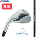 kasco DOLPHIN WEDGE Lefty キャスコ ドルフィンウェッジ DW-123 レフティ 左用 ウェッジ(ストレートネック) Dolphin DP-231 カーボンシャフト LEFT 左 レフトハンド