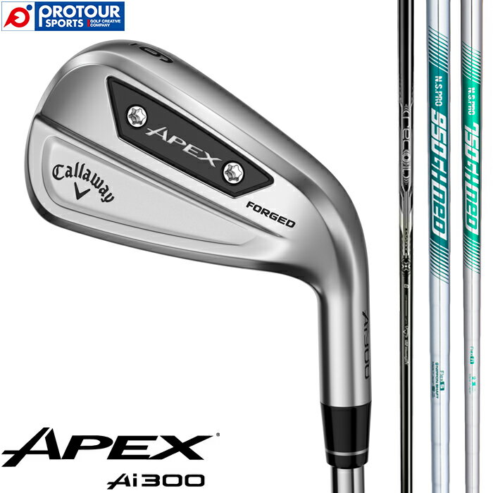 Callaway APEX Ai300 IRON / キャロウェイ エイペックス エーアイ 300 アイアン 6本セット(＃5-9,PW) 2024年モデル シャフト 3種 アイアンセット