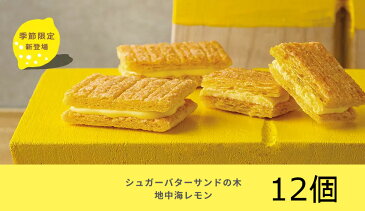 シュガーバターサンドの木 地中海レモン 12個 ばら売り