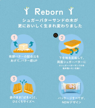シュガーバターサンドの木 12個入 ばら売り