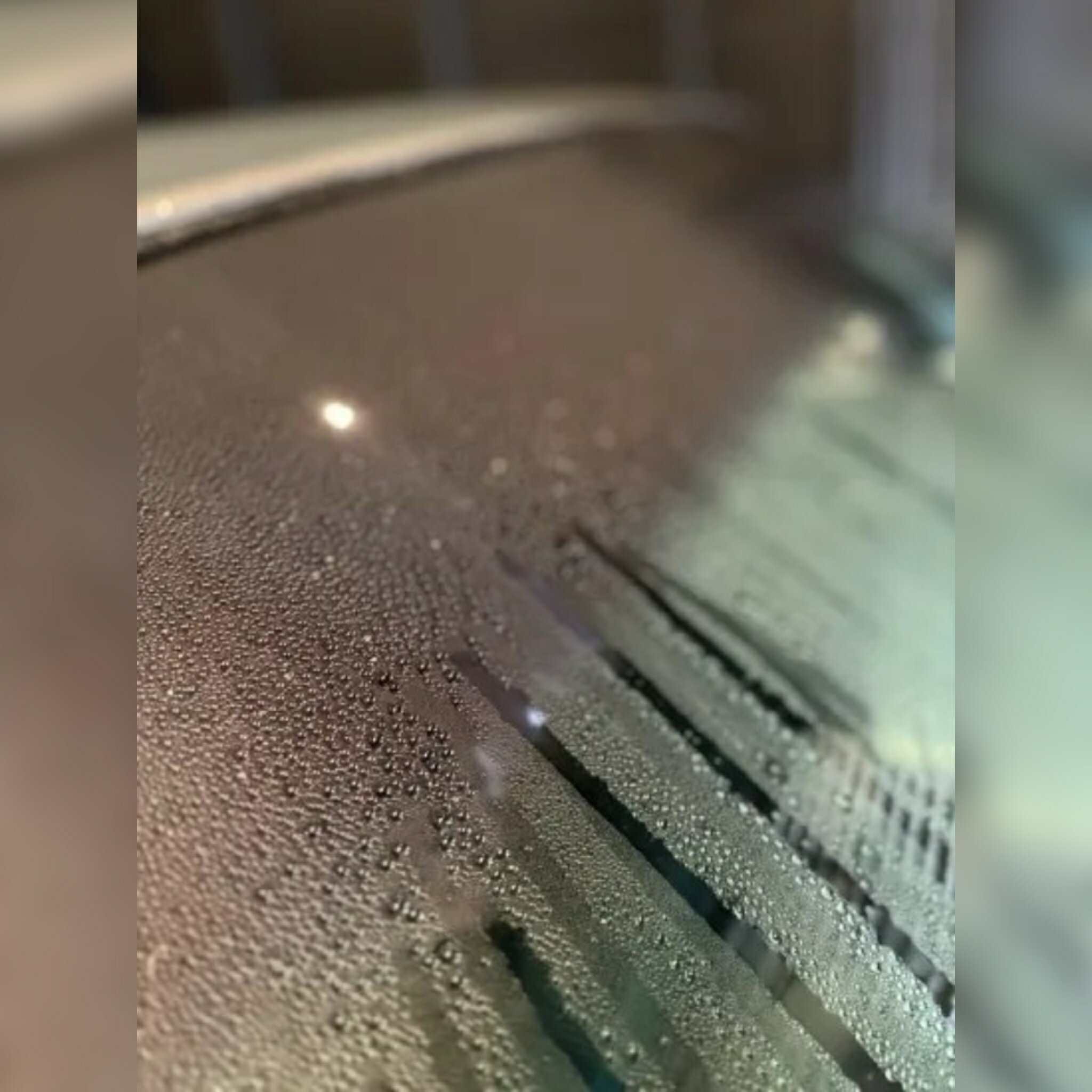 GLASS CLEANER & COATING ���饹���꡼�ʡ� & �����ƥ��� GOLD RUSH ���� ��ñ�ܹ� ���� ������ɥ�����