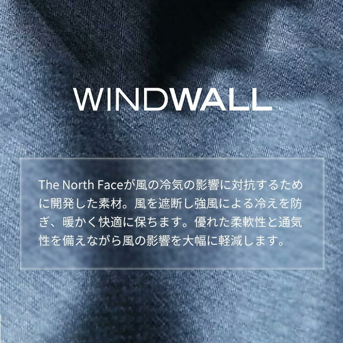 【送料無料】 THE NORTH FACE ノースフェイス メンズ 男性 アウトドア 普段使い 防風 防水 ブラック 黒 使いやすい 軽い M L