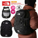 【送料無料】新入荷 THE NORTH FACE ノースフェイス バッグ バックパック メンズ レディース アウトドア 普段使い 使いやすい 荷物 収納 29L...