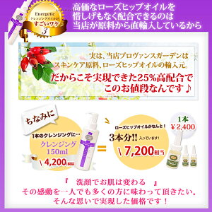 ★初回限定★\30分限定!衝撃の半額タイムセール/☆毛穴・角栓ケアまでおまかせクレンジング☆ミネラルオイル不使用ローズヒップオイル配合エナジェティッククレンジングオイル(150mL)Energetic【あす楽対応_関東】
