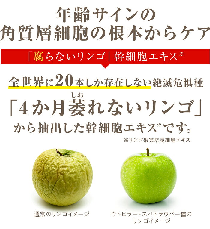 超目玉 店内ポイント最大29 5倍 リンゴ幹細胞エキス 配合 アイクリーム ステムショットアイセラム あす楽対応 アルジレリン 目元 口元 エイジングケア 幹細胞エキス 最先端 Www Metalcava Com Br