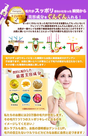 ★初回限定★\30分限定!衝撃の半額タイムセール/☆毛穴・角栓ケアまでおまかせクレンジング☆ミネラルオイル不使用ローズヒップオイル配合エナジェティッククレンジングオイル(150mL)Energetic【あす楽対応_関東】