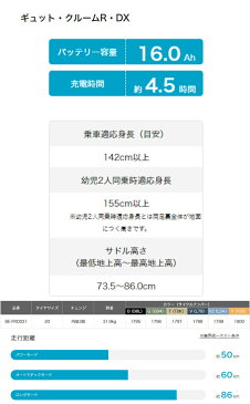 2022モデル BE-FRD031 ギュットクルームR DX 電動自転車 子供乗せ 前後セット 完全組立 20インチ 内装3段変速 パナソニック PANASONIC シティサイクル