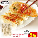 瀬戸内六穀豚使用 大きな餃子 100個