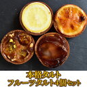 本格 タルト フルーツ 4個入り セット |入学 お祝い ケーキ スイーツ デザート ギフト 洋 菓子 フルーツ チョコ チーズ オレンジ レモン バナナ 土産...