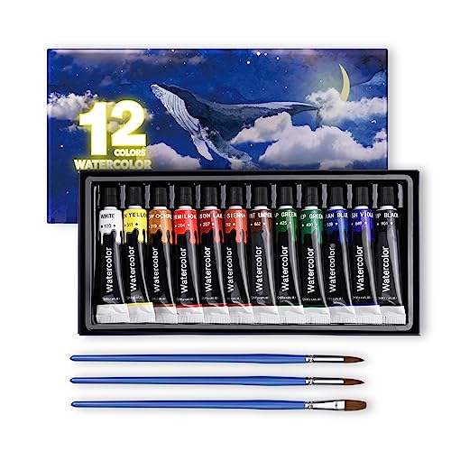 15点セット 水彩絵の具 12色 透明水彩絵の具 3本ブラシ付き チューブ 速乾 手軽 無毒性 耐光性 大人の塗り絵 水彩画 お絵描き 美術 画材セット 子供用 12ml 絵の具セット 女の子 男の子 宿題 初心者 専門家 入園・入学お祝い プレゼントのサムネイル