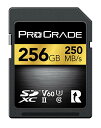 ProGrade Digital (プログレードデジタル) 【SDXC UHS-II V60】 GOLD 256GB