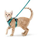 Rabbitgoo 猫用 ハーネス リードセット 犬猫兼用 超小型犬 小型犬 抜けない ソフト胸あて 軽量 足を上げず装着完成 サイズ調節可 夜反射 通気メッシ...