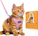 Bigcow 猫 猫用 ハーネスリード セット 猫牽引ロープ リード 猫ハーネス 猫用ハーネス 胴輪 猫具 ねこ ネコ 子猫 散歩 お出かけ 抜けない ベスト ...