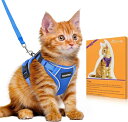Bigcow 猫 猫用 ハーネスリード セット 猫牽引ロープ リード 猫ハーネス 猫用ハーネス 胴輪 猫具 ねこ ネコ 子猫 散歩 お出かけ 抜けない ベスト ...