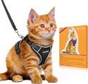 Bigcow 猫 猫用 ハーネスリード セット 猫牽引ロープ リード 猫ハーネス 猫用ハーネス 胴輪 猫具 ねこ ネコ 子猫 散歩 お出かけ 抜けない ベスト ...