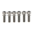 Dingtai 6個入り チタン自転車ボルトバイクステム M5x16mm M5x18mm M5x20mm 六角ボルト (チタンカラー, M5x16mm)(4)
