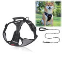 GIIPET 犬用ハーネス 全サイズ対応 引っ張り防止 イージーウォーク 超小型犬〜大型犬 首輪代わり 一体式ソフトハーネス 反射機能&グリップ付き 快適散歩サ...
