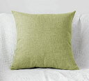 Khooti Decorative Jute Square Cushion Cover Throw pillow cover for Living Room Couch Diwan single seater Sofa, Modern BOHO Medium 18 x 18 Inches / 45 x 45 cm (Colour - Apple Green)(Set of 1 piece)