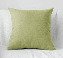 Khooti Decorative Jute Square Cushion Cover Throw pillow cover for Living Room Couch Diwan single seater Sofa, Modern BOHO Medium 20 x 20 Inches / 50 x 50 cm (Colour - Apple Green)(Set of 1 piece)