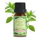 SALKING ペパーミント 精油 10ml アロマオイル ハッカ系 エッセンシャルオイル 天然 100% ピュア 虫よけ オイル リラックス/アロマディフューザー/加湿器/プレゼント にも最適 Peppermint Essential Oil(4)