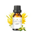 LOXIM イランイラン 10ml アロマオイル イランイラン精油 エッセンシャルオイル アロマ 天然100% グッズ アロマディフューザー/アロマストーン/ア...