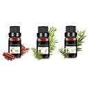 Beautytrees アロマオイル セット 10mlx3本 樹木系 エッセンシャルオイル 精油 天然素材 自然な香り ティートリー/サンダルウッド/ユーカリ ...