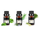 Beautytrees アロマオイル セット 10mlx3本 ハーブ系 エッセンシャルオイル 精油 天然素材 自然な香り ペパーミント/レモングラス/ローズマリ...