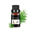 Beautytrees 檜の香り アロマオイル ヒノキ エッセンシャルオイル ひのき 精油 10ml 天然100% 檜の香り アロマ ディフューザー用 アロマス...